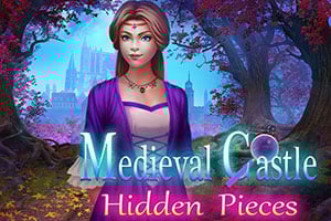 Read more about the article Medieval Castle Hidden Pieces