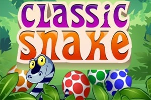 Read more about the article Classic Snake