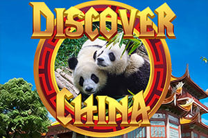 Read more about the article Discover China