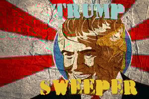 Read more about the article Trump Sweeper