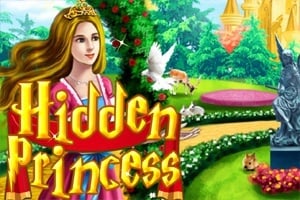 Read more about the article Hidden Princess