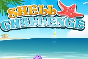 Read more about the article Shell Challenge