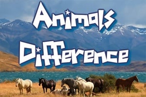 Read more about the article Animal Differences