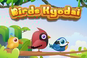 Read more about the article Birds Kyodai