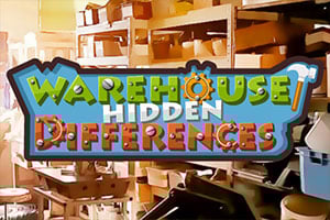 Read more about the article Warehouse Hidden Differences