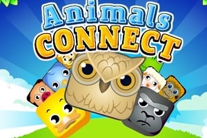 Read more about the article Animals Connect