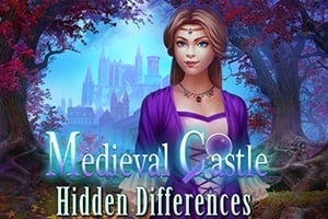 Read more about the article Medieval Castle Hidden Differences