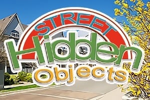 Read more about the article Street Hidden Objects