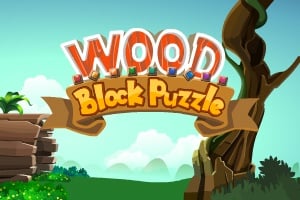Read more about the article Wood Block Puzzle