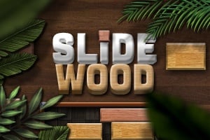Read more about the article Slide Wood