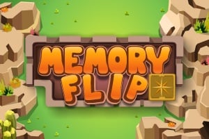 Read more about the article Memory Flip