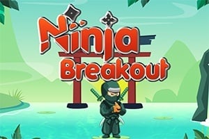 Read more about the article Ninja Breakout