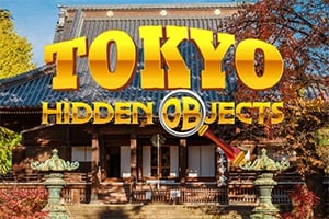 Read more about the article Tokyo Hidden Objects