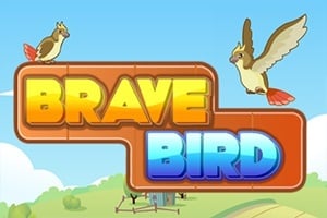 Read more about the article Brave Bird