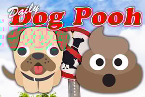 Read more about the article Daily Dog Pooh