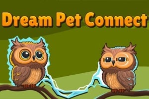 Read more about the article Dream Pet Link