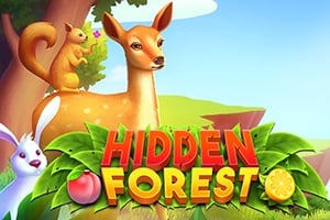 Read more about the article Secret Forest