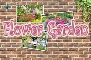 Read more about the article Blossom Garden