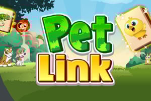 Read more about the article Pet Wink