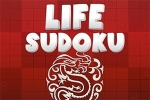 Read more about the article Lifesudoku