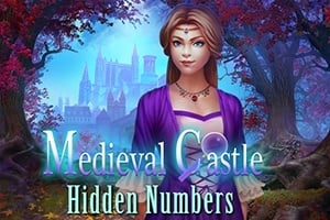 Read more about the article Medieval Fortress Hidden Numbers
