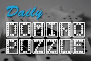 Read more about the article Regular Domino Puzzle
