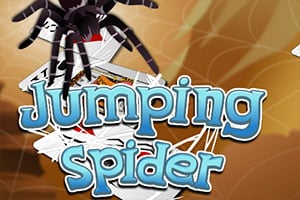 Read more about the article Leaping Spider