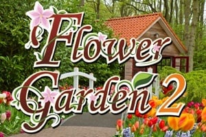 Read more about the article Flower Meadow 2
