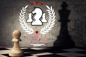 Read more about the article Checkers