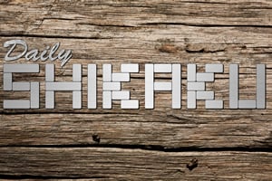 Read more about the article Regular Shikaku